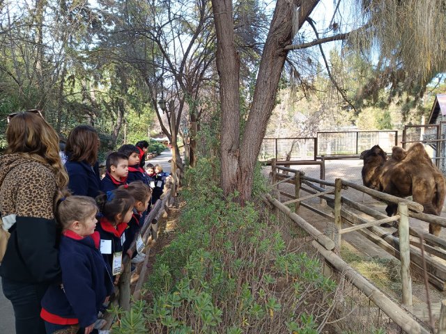 Salida pedagógica al Buin Zoo - Caminantes