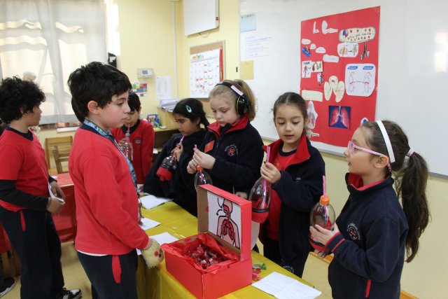 Feria Científica 2024 - Caminantes a 4° Básico